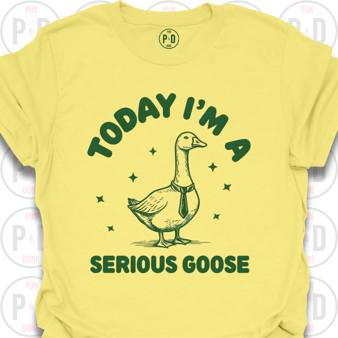 I'm A Serious Goose (Today/Tonight), T-Shirt