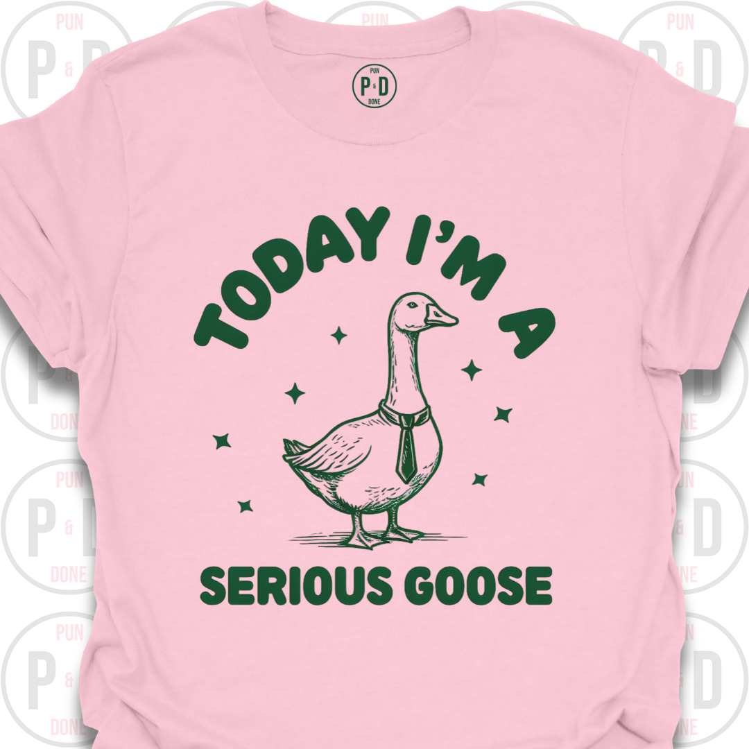 I'm A Serious Goose (Today/Tonight), T-Shirt