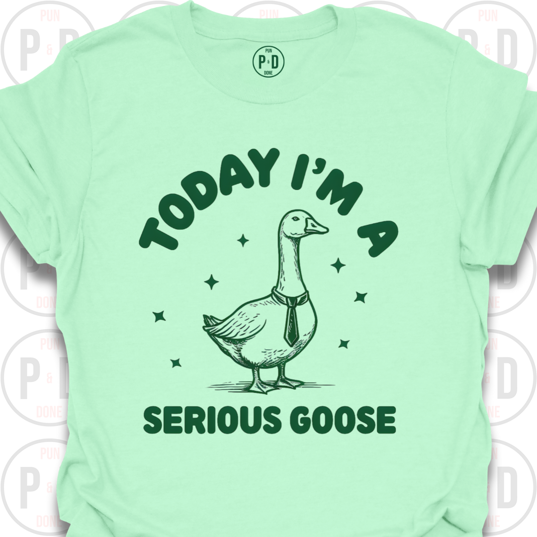 I'm A Serious Goose (Today/Tonight), T-Shirt
