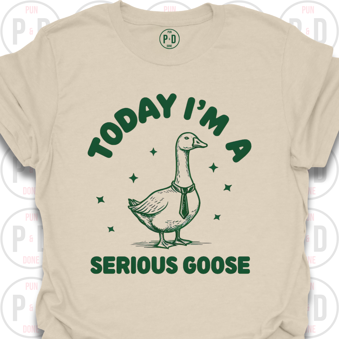 I'm A Serious Goose (Today/Tonight), T-Shirt