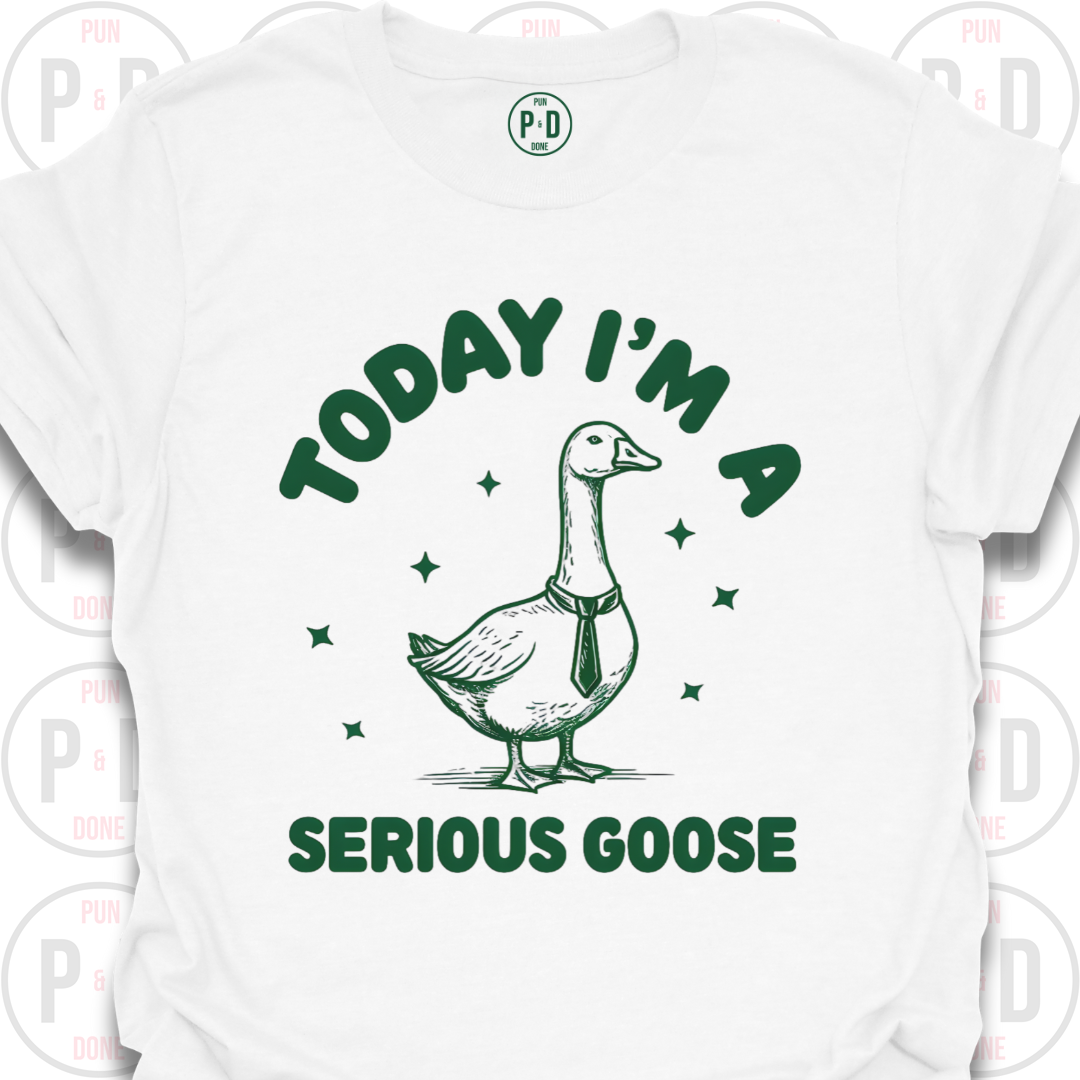 I'm A Serious Goose (Today/Tonight), T-Shirt