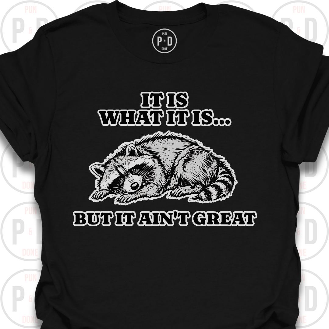 It Is What It Is, Raccoon, T-Shirt