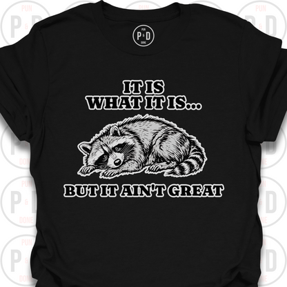 It Is What It Is, Raccoon, T-Shirt