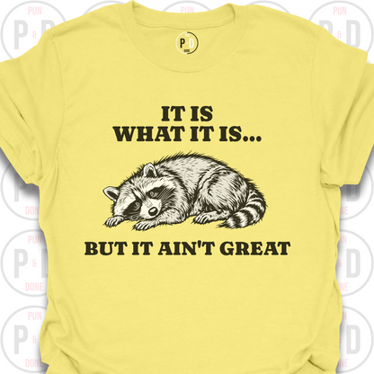 It Is What It Is, Raccoon, T-Shirt