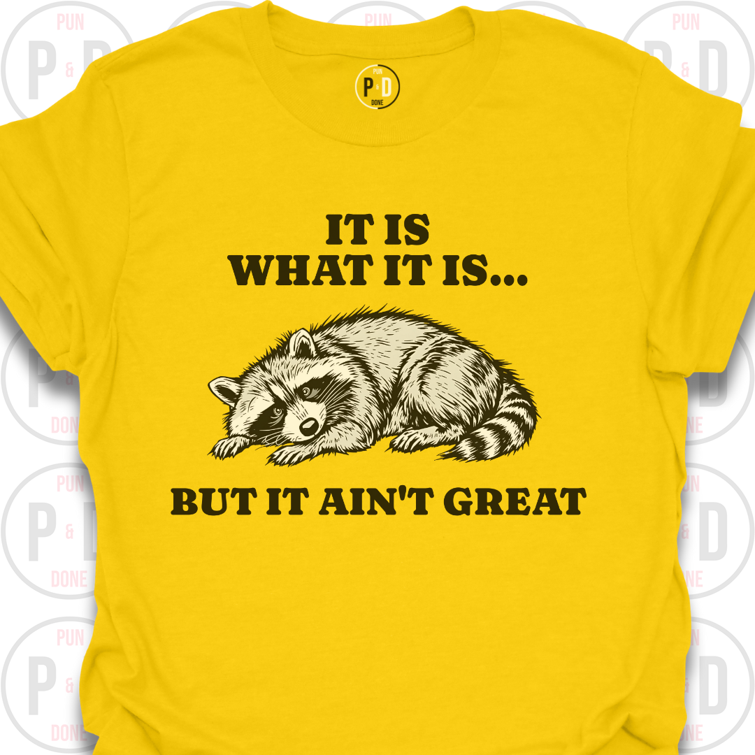 It Is What It Is, Raccoon, T-Shirt