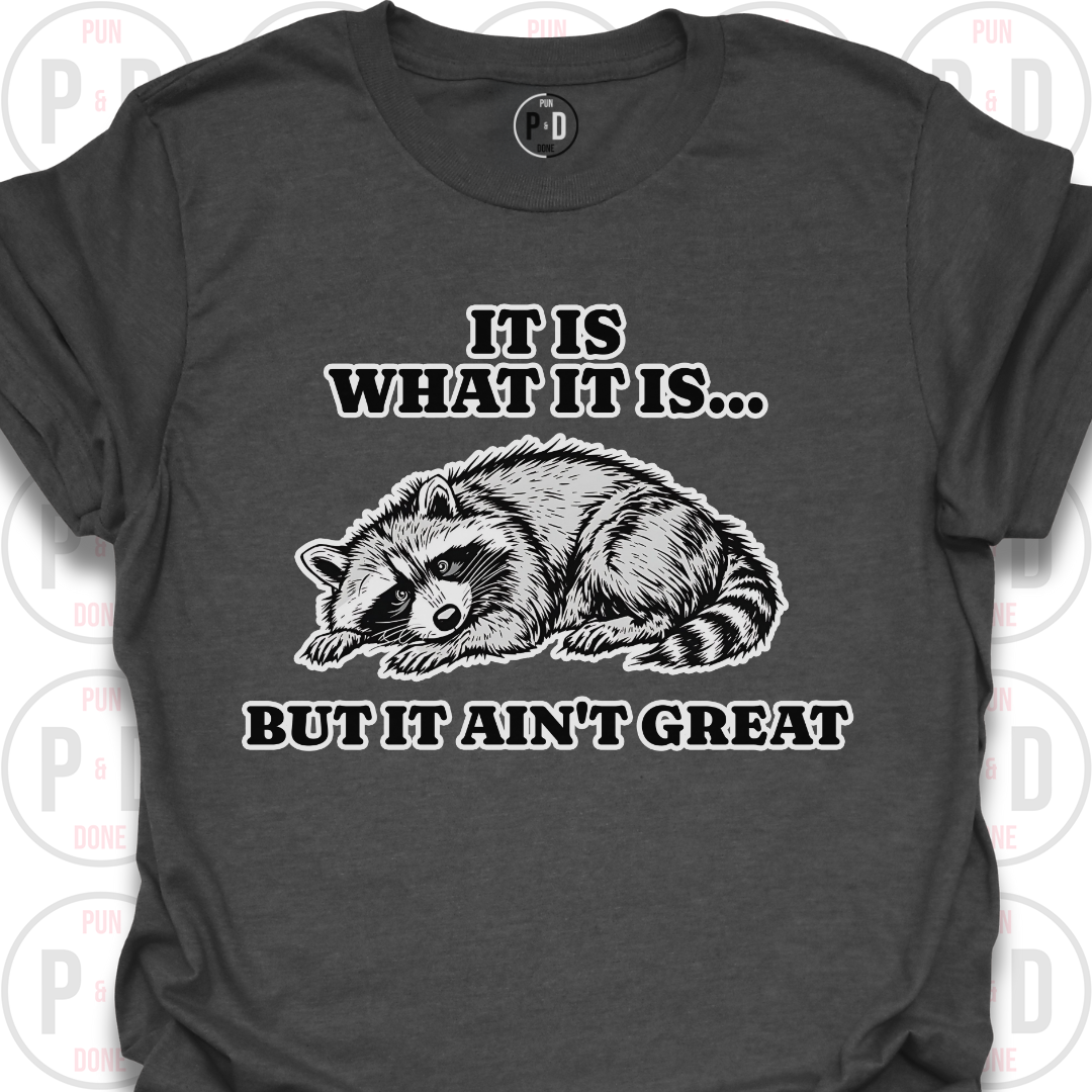 It Is What It Is, Raccoon, T-Shirt