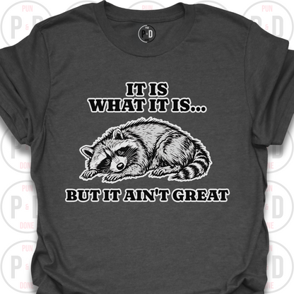 It Is What It Is, Raccoon, T-Shirt