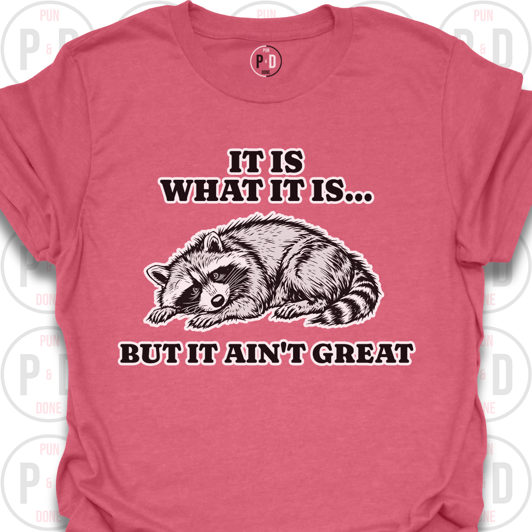 It Is What It Is, Raccoon, T-Shirt