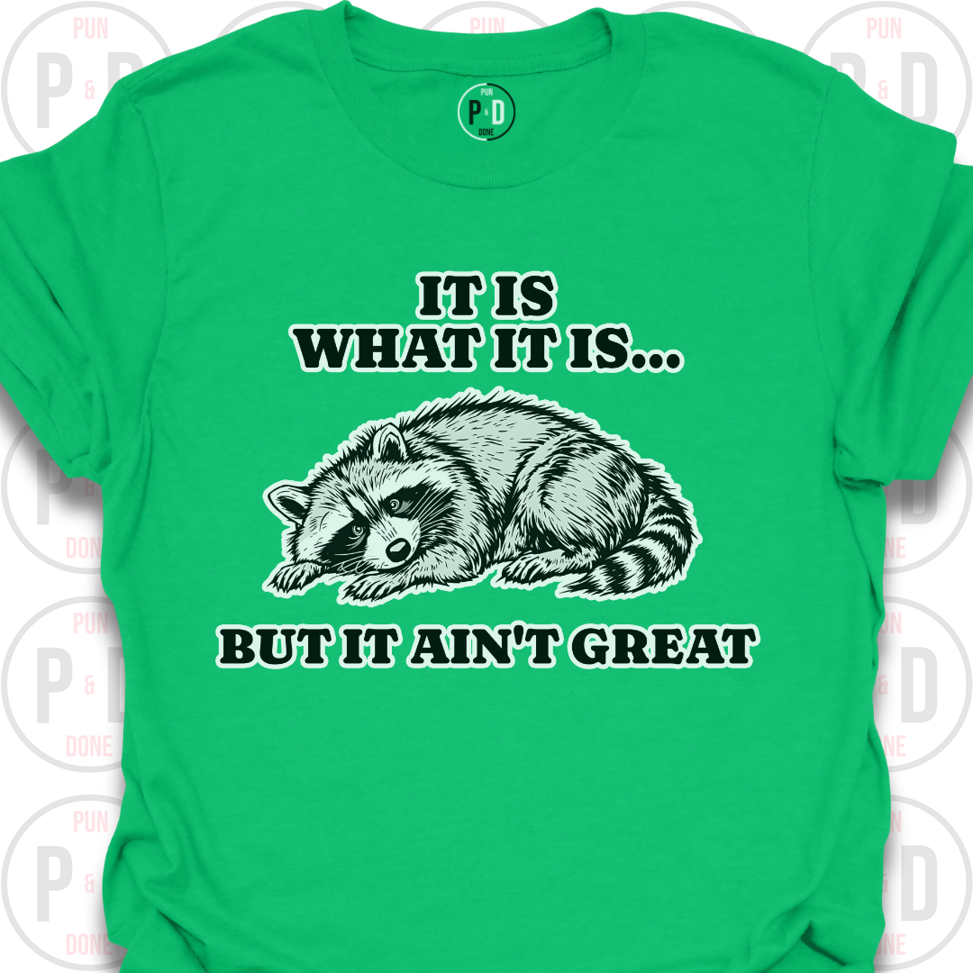 It Is What It Is, Raccoon, T-Shirt