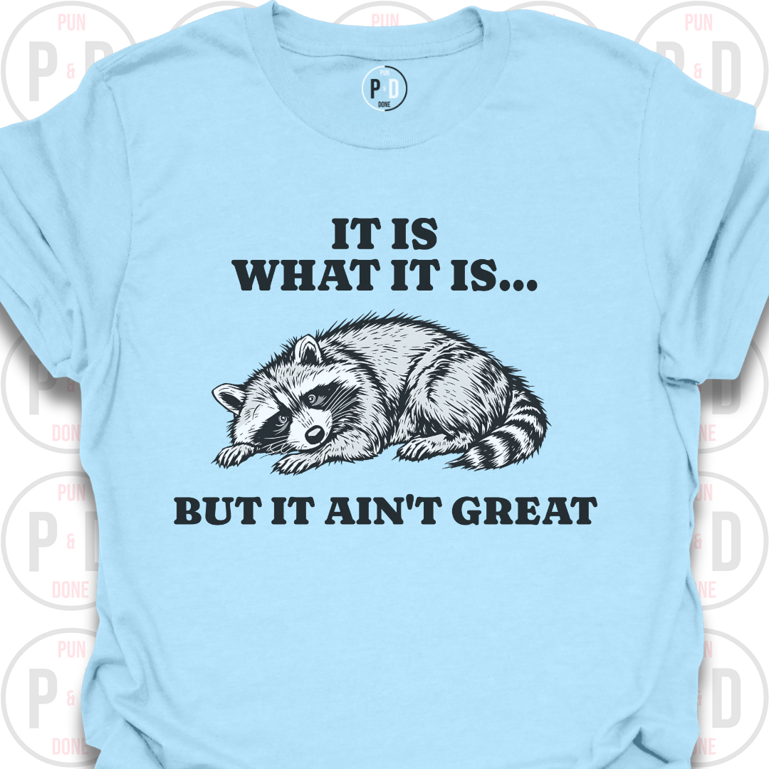 It Is What It Is, Raccoon, T-Shirt