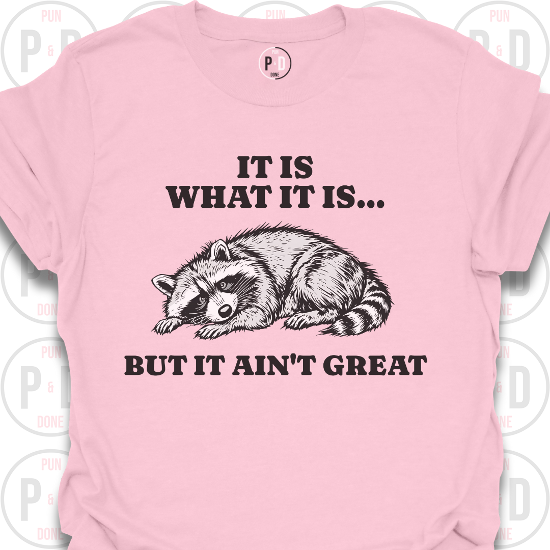It Is What It Is, Raccoon, T-Shirt