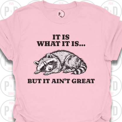 It Is What It Is, Raccoon, T-Shirt