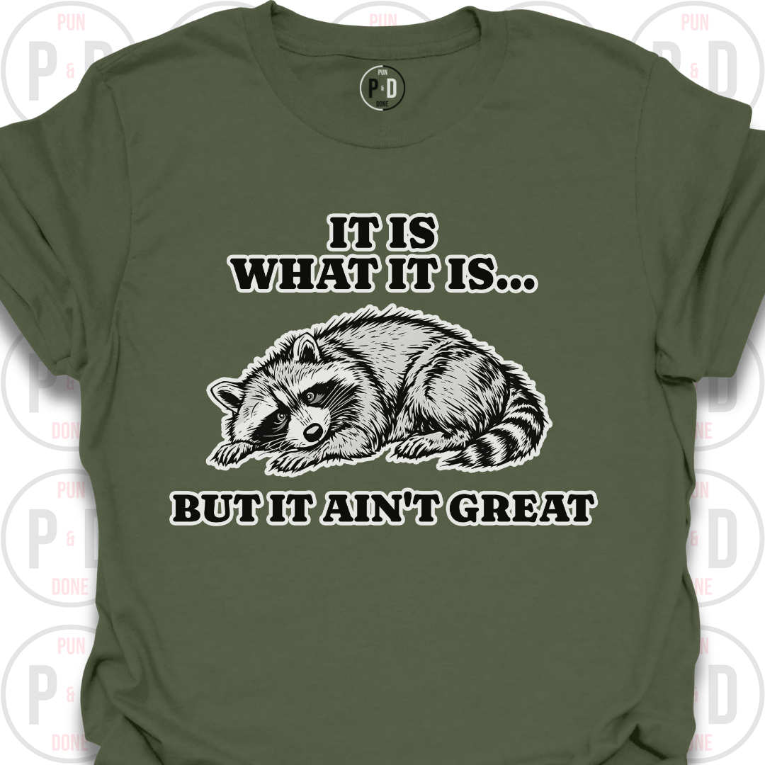 It Is What It Is, Raccoon, T-Shirt
