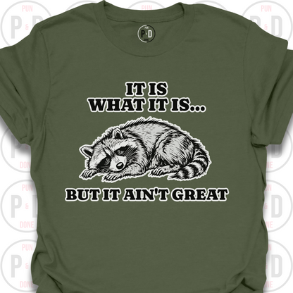 It Is What It Is, Raccoon, T-Shirt