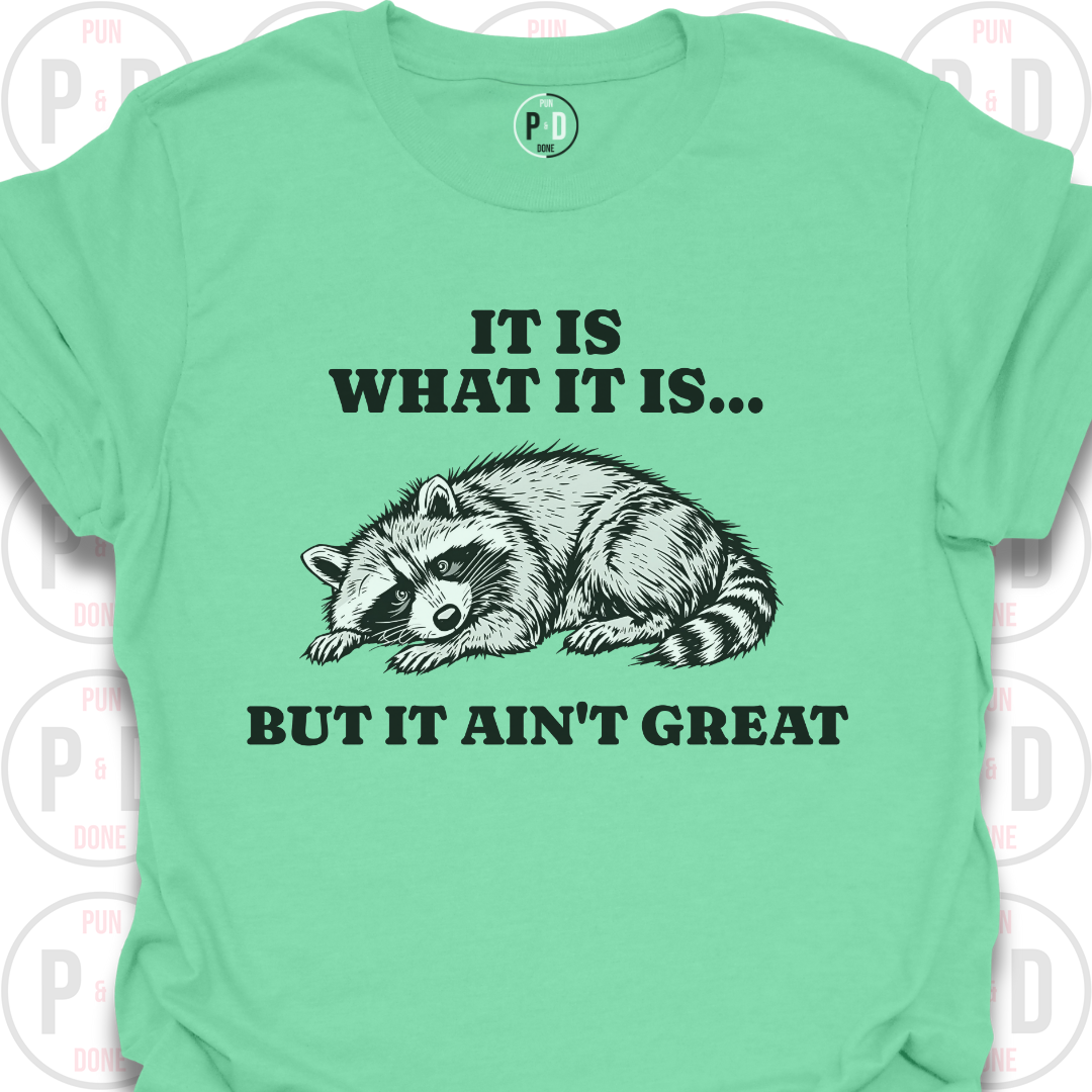 It Is What It Is, Raccoon, T-Shirt