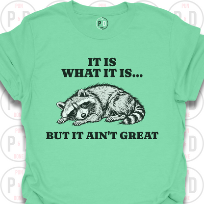 It Is What It Is, Raccoon, T-Shirt