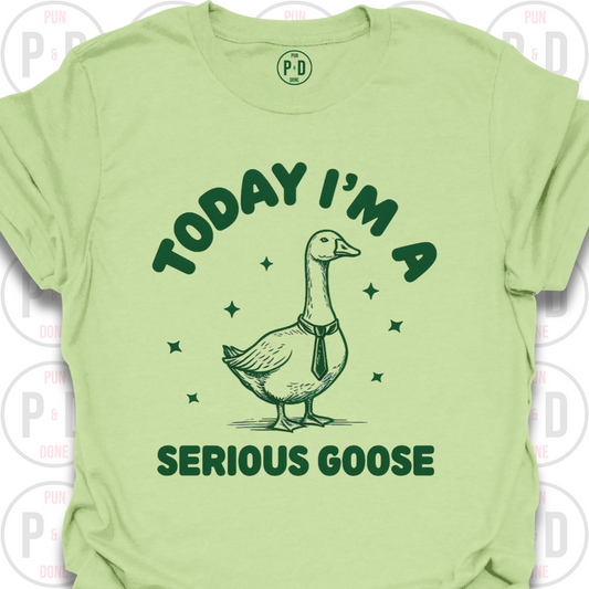 I'm A Serious Goose (Today/Tonight), T-Shirt