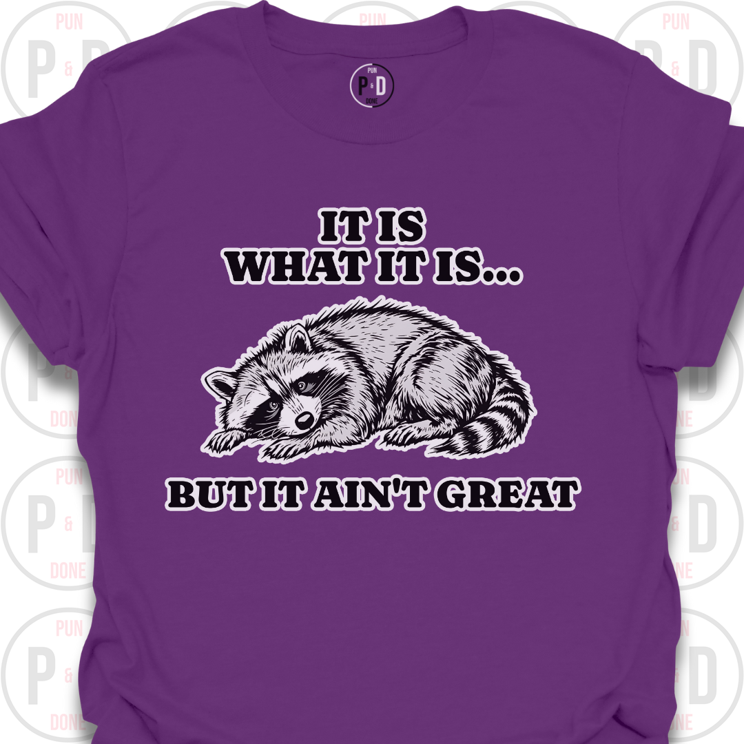 It Is What It Is, Raccoon, T-Shirt