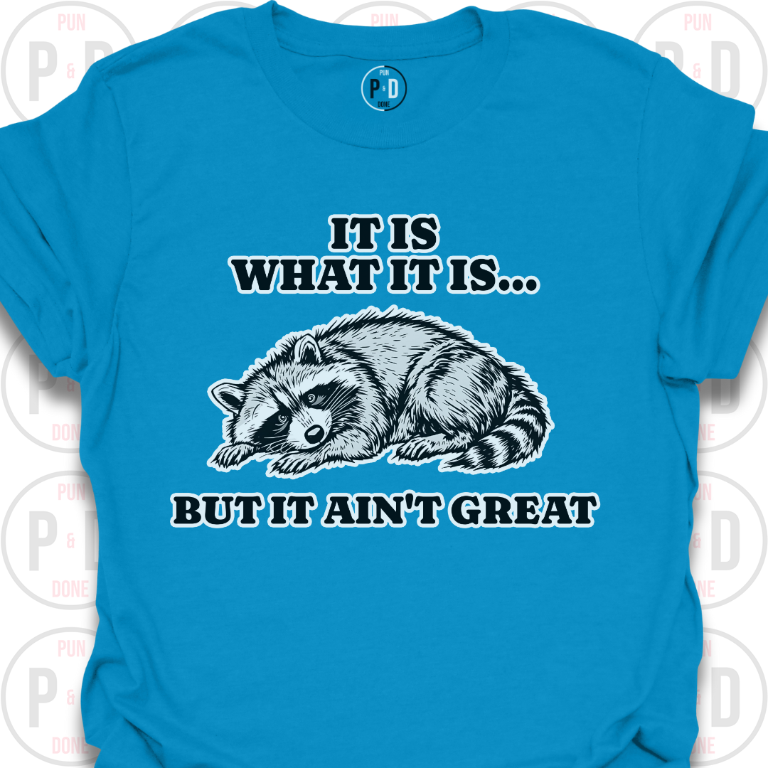 It Is What It Is, Raccoon, T-Shirt