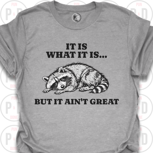 It Is What It Is, Raccoon, T-Shirt