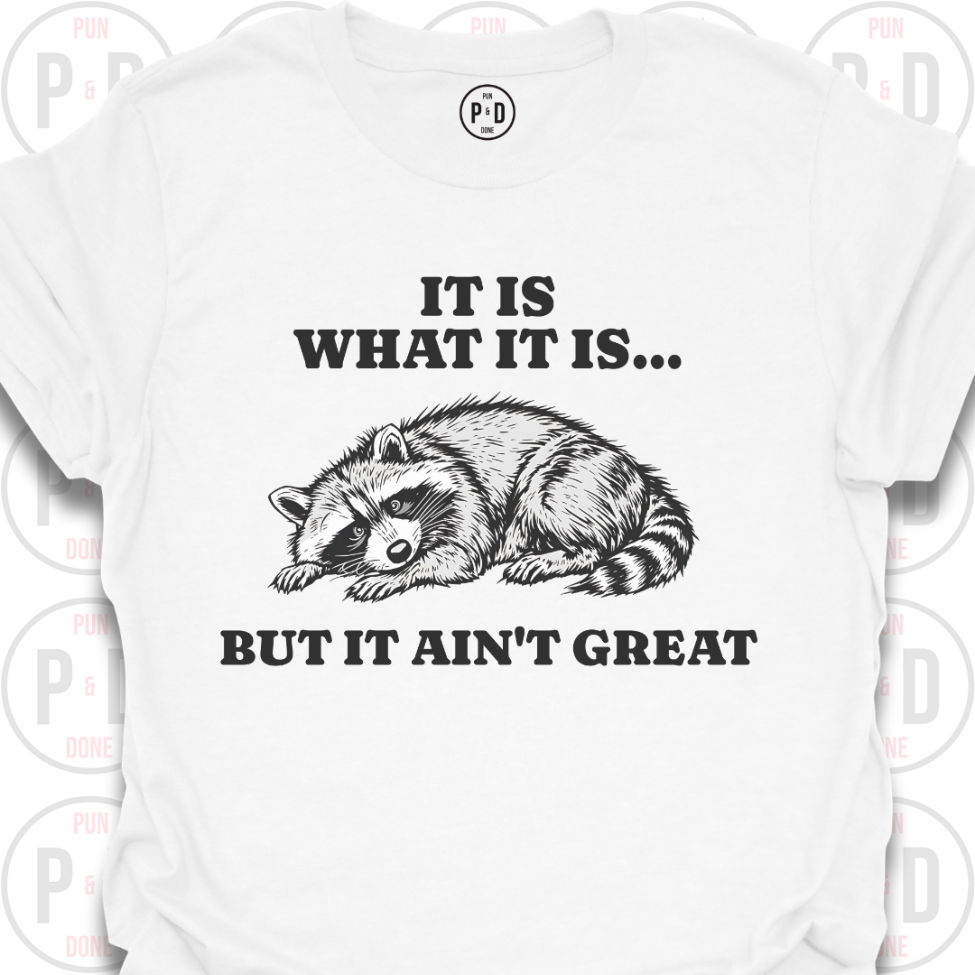 It Is What It Is, Raccoon, T-Shirt